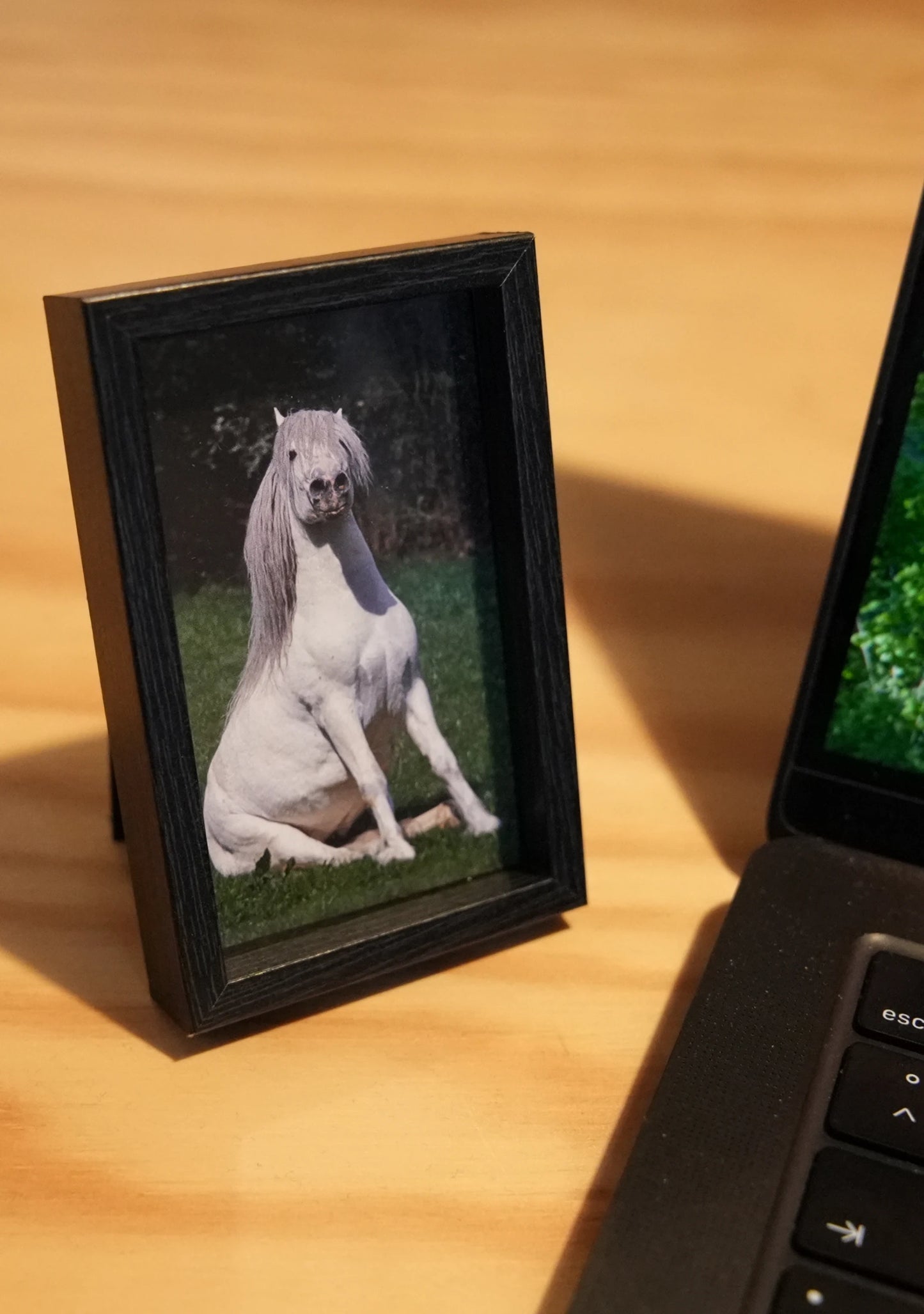 Horsedogs Nachttischbild - Bild 2