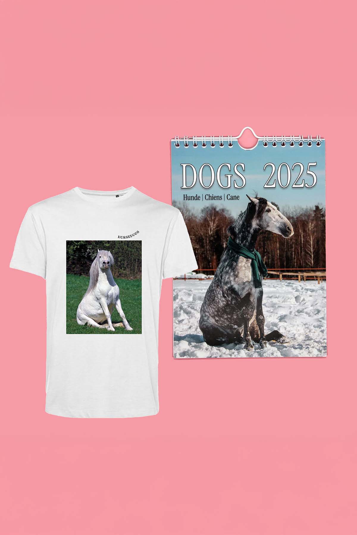 Horsedogs 🐴 | Bundle