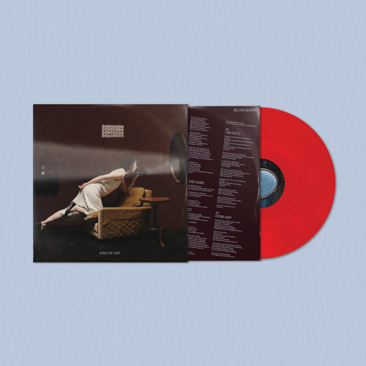 Blush-Always_KOL-Vinyl_Mocks-1x1_5.jpg