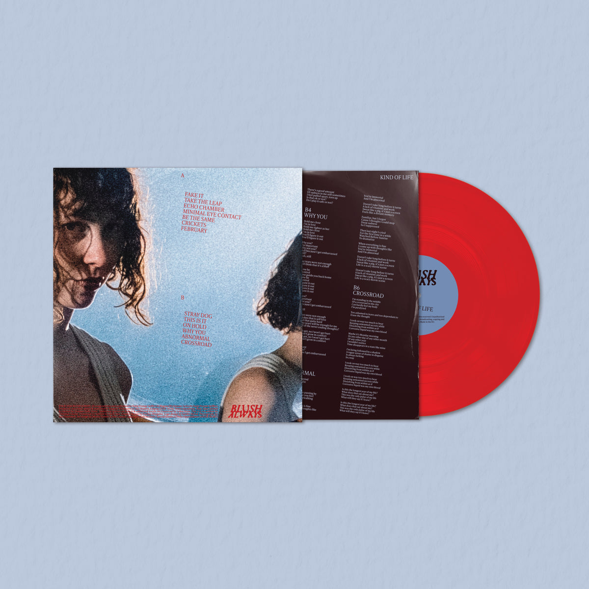 Blush-Always_KOL-Vinyl_Mocks-1x1_6.jpg