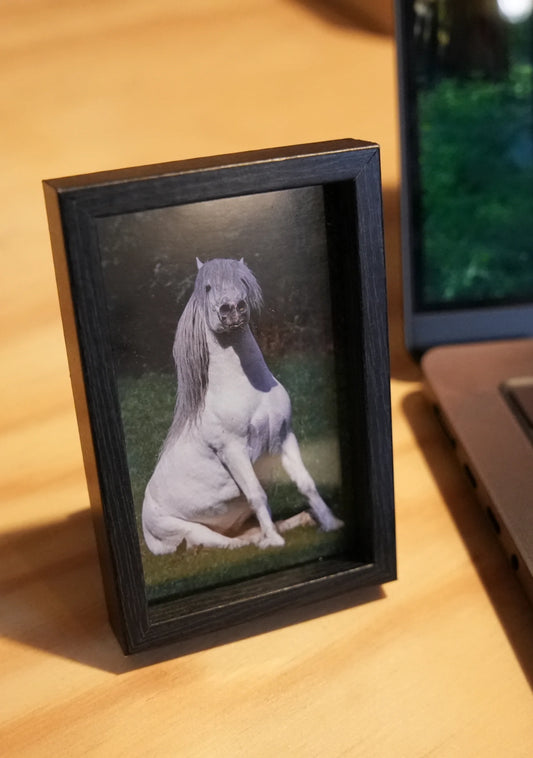 Horsedogs Nachttischbild - Bild 1