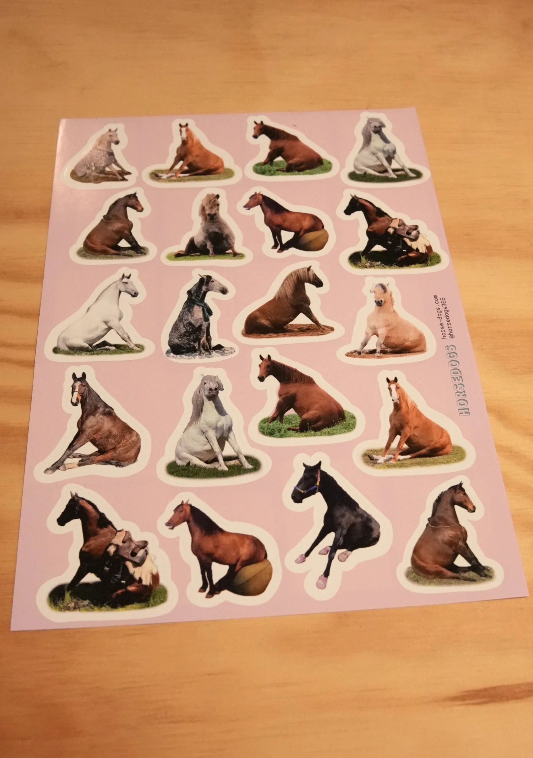 Horsedogs Sticker - Bild 1